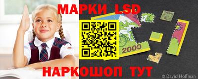 a pvp Свободный