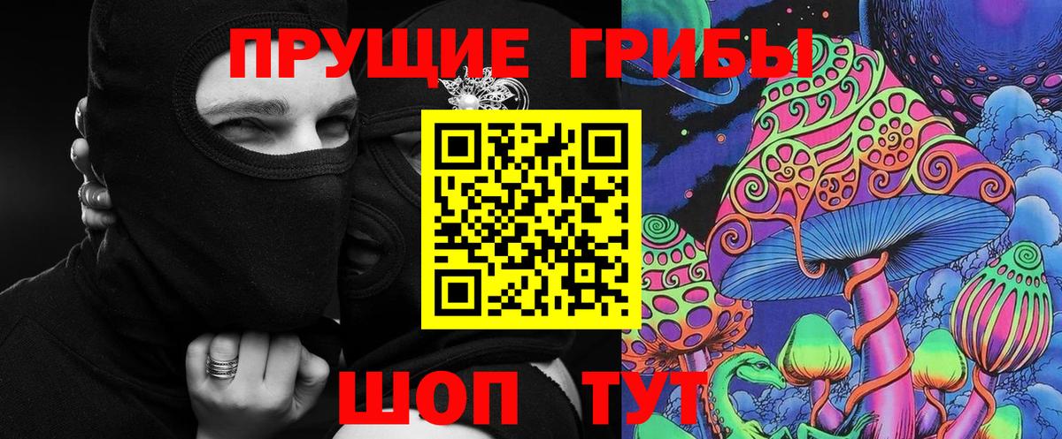 Протвино  Галлюциногенные грибы Cubensis  где купить наркоту  Вход с VPN 